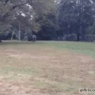 Parking bike like a boss