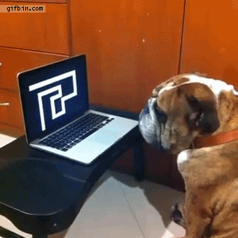 Bulldog reacts to scare maze prank