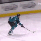 Hertl goal