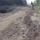 Sand surfing fail