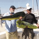 Sea lion steals fish from posing fisherman