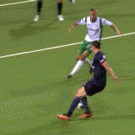 Zlatan Ibrahimovic pass fail