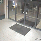 Horse walks into police station