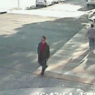 Guy stops girl on bicycle, probably avoiding accident