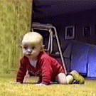 Dalmatian sits on baby's head