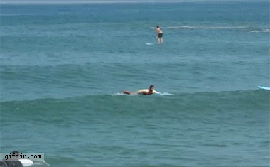Surfing backflip