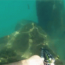 Spearfishing fail