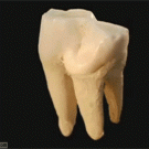 Tooth magnified to the atomic level