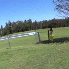 Girl accidentally runs into fence