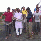 Python bites selfie guy