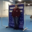 Greyhound jumps over obstacle in slo-mo