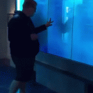 Guy gets scared by virtual shark