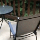 Bird eating seeds out of person's hand