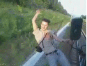 1258099350_dodging_poles.gif
