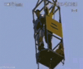 1259148005_croc-bungee-jumping.gif