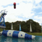 Wipeout launch