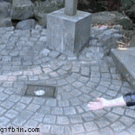 Cat completely ignores girl