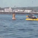 Whale almost swallows surfer chick