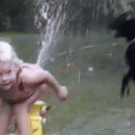 Girl plays with dog