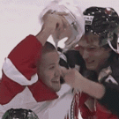 Hockey fight
