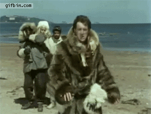 1352914281_monty_python__lion_fight.gif