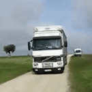 Pigeons released from truck