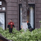 Tree cutters almost hit passing woman