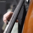 High shutter speed string bass shot