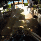 Downhill mountain biker hits lady