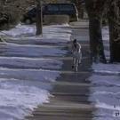 Paperboy fail (While You Were Sleeping)