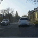 Dog crosses street on crosswalk