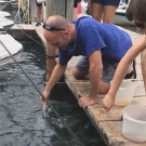 Big fish grabs man's hand