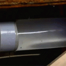 How rats climb up toilets