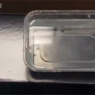 Sponge getting hydrated