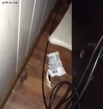 http://www.gifbin.com/bin/112015/cat-helps-with-cable-work.gif