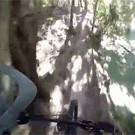 Mountain biker comes across crocodile