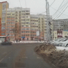 Woman crosses street on red, dog waits for green light
