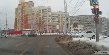 woman-crosses-street-on-red-dog-waits-fo