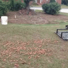 Nut-gathering contraption