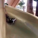 Static hair kid on a slide