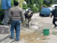 1260445340_bruce_lee_cow.gif