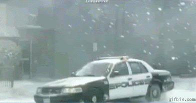 1260993907_canadian_police_chase.gif