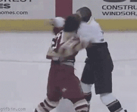 http://www.gifbin.com/bin/122009/1262096085_hockey-knockout.gif