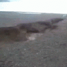 River jump fail