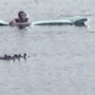 Kid scares ducklings