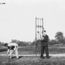 German Shephed obstacle jump