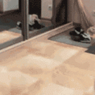 Puppy runs into mirror