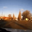 Truck full of cows crashes