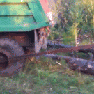 Loading tree into truck