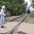Yogi ain't afraid of no train